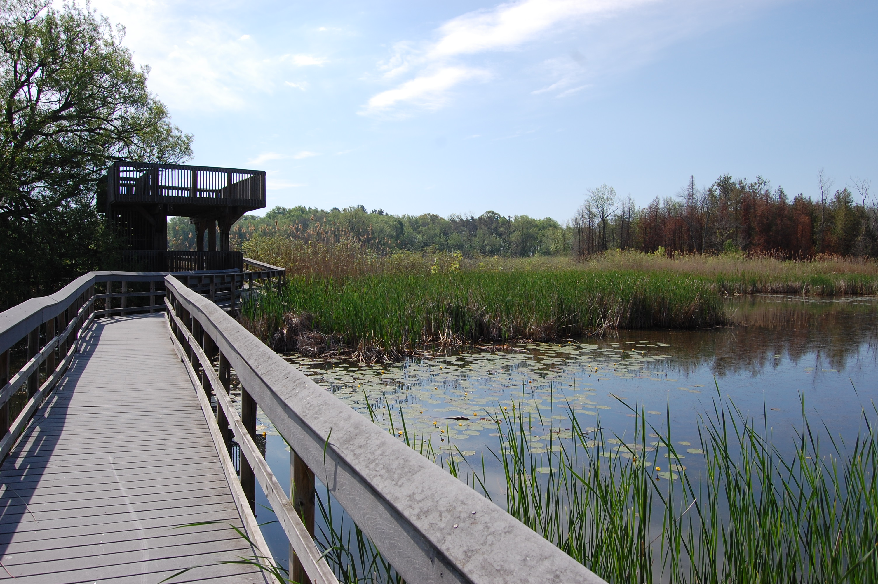 Marsh Boardwalk Replacement and Repair